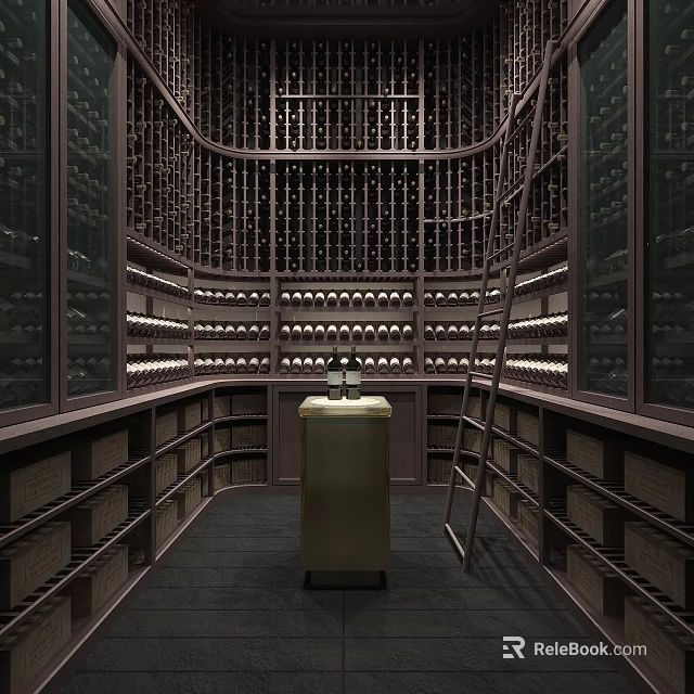 Wine Cellar Interior Design With Wooden Racks Wine Bottles Lighting Ladder And Storage Cabinets 3d model 