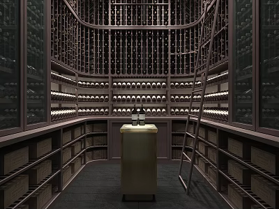 Wine Cellar Interior Design With Wooden Racks Wine Bottles Lighting Ladder And Storage Cabinets 3d model