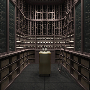 Modern Wine Cellar Wine Cellar Display Storage Cabinet 3d model