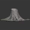 Rustic Wood And Stone Sculpture With Tree Stump Design Intricate Roots And Green Mossy Base