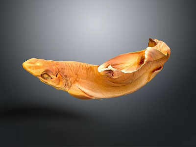 Orange Fish Floating In Mid Air Against Gray Background With Unique Textured Appearance 3d model