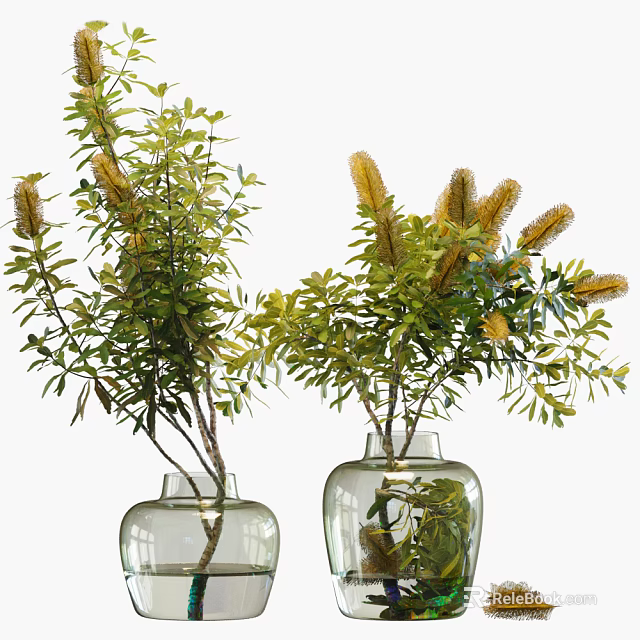 Transparent Glass Vases With Fresh Green Leaves And Yellow Flowers 3d model 