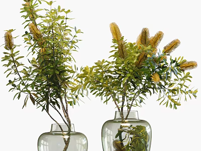 Transparent Glass Vases With Fresh Green Leaves And Yellow Flowers 3d model