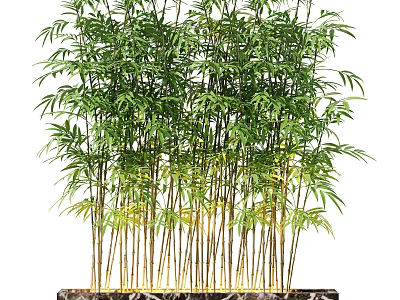 Clustered Bamboo Bonsai Plant With Green Leaves And Tall Stems In Decorative Planter 3d model