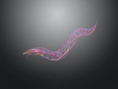 Abstract Colorful Line Art With Wavy 3D Structure And Vibrant Curves 3d model