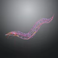 Abstract Colorful Line Art With Wavy 3D Structure And Vibrant Curves