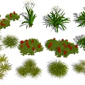 Various Types of Garden Flowers and Plants with Red Berries White Flowers and Green Foliage