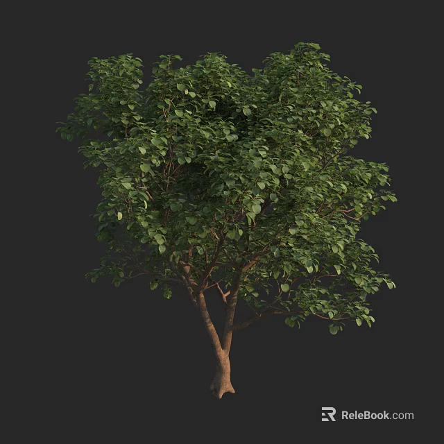 Green Tree With Lush Green Leaves And Strong Brown Trunk In Natural Scene 3d model 