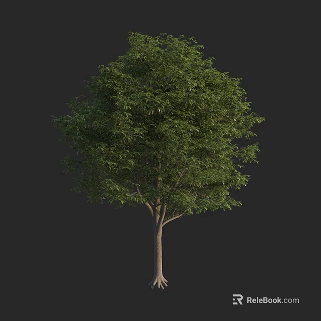 Lush Green Tree With Dense Foliage And Strong Trunk On Dark Background 3d model 
