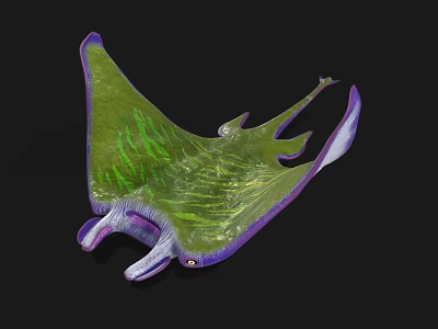 Colorful Aquatic Animal Manta Ray With Green Purple Body And Unique Patterns 3d model