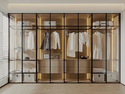 Modern Glass Door Wardrobe With Metal Frame Hanging Shirts Coats Storage Boxes And Lighting 3d model