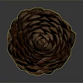 Natural Brown Pine Cone With Scaly Texture Isolated On Gray Background