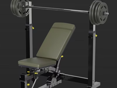 Weight Bench Press Rack with Barbell Plates and Adjustable Seat for Home Gym Training 3d model