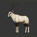White Oryx Antelope With Long Horns Brown Legs Standing On Dark Background