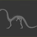 Detailed Dinosaur Skeleton Model With Long Neck On Gray Background