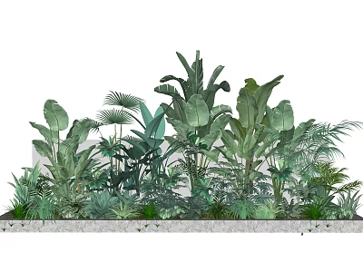 Lush Green Foliage Floral Art Display Featuring Tropical Plant Arrangement 3d model