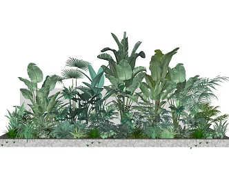 Nordic American Chen Plant Pile 3d model
