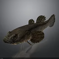 Dark Spotted Fish With Brown Fins And Textured Body On Gray Background