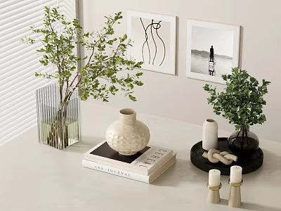 Tabletop Decorative Ornament Combination With Green Plants Framed Art Ceramic Vase Candles And Books 3d model