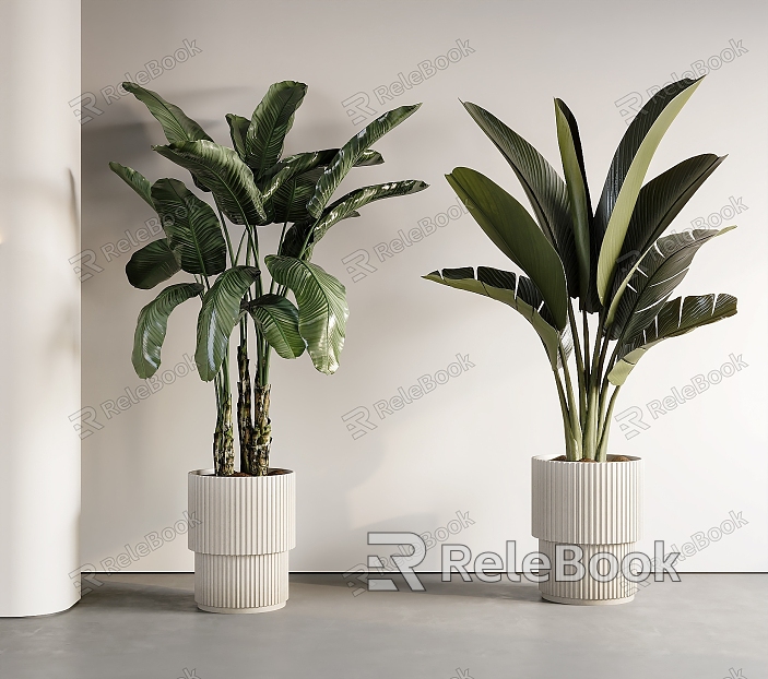 plant potted banana leaf model