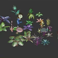 Colorful Cartoon Scene With Various Plants Flamingo Tropical Flowers And Leaves