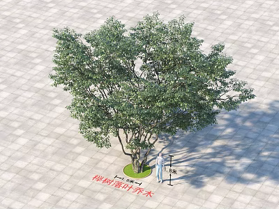 Lush Green Arbor with Dense Foliage in Spring Paved Square with Street Lamp 3d model