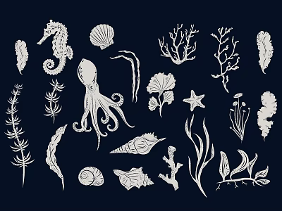 marine animal plant seaweed coral seaweed seahorse shell starfish cartoon hand-painted 3d model