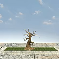 Withered Arbor in Square Grass Patch on Stone Pavement Under Blue Sky 3d model