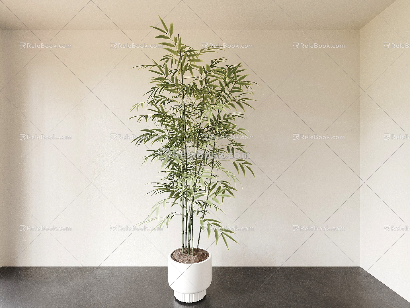 bamboo plant green plant shrub pot 3d model