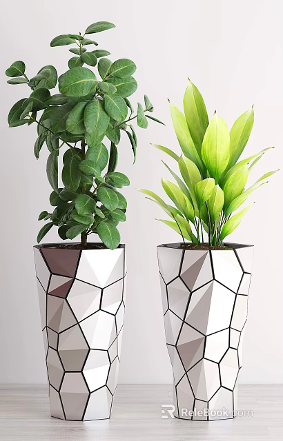 Two Potted Bonsai Plants With Lush Green Leaves In Geometric Design Pots 3d model 