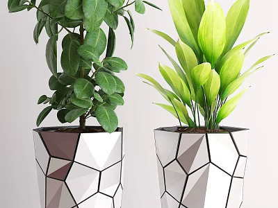 Two Potted Bonsai Plants With Lush Green Leaves In Geometric Design Pots 3d model