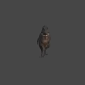 Realistic Tyrannosaurus Dinosaur 3D Model With Detailed Texture And Gray Background