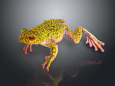 Vibrant Yellow Green Spotted Frog with Pink Legs and Red Eyes on Dark Background 3d model