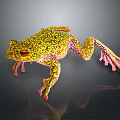 Vibrant Yellow Green Spotted Frog with Pink Legs and Red Eyes on Dark Background