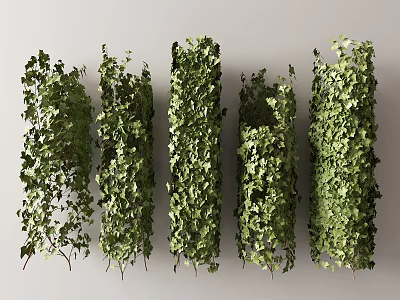Lush Green Ivy Vines With Dense Foliage Arranged Vertically For Decorative Use 3d model