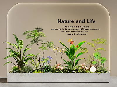 Indoor Landscape With Nature and Life Theme Featuring Tropical Plants Ferns And Butterfly Decor 3d model