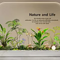Indoor Landscape With Nature and Life Theme Featuring Tropical Plants Ferns And Butterfly Decor