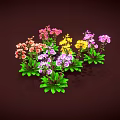 Vibrant Blooming Flowers Pink Yellow Purple Orange With Green Leaves On Brown Background