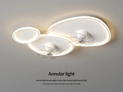 Modern Annular Ceiling Light Design With Circular Shape And LED Lighting 3d model