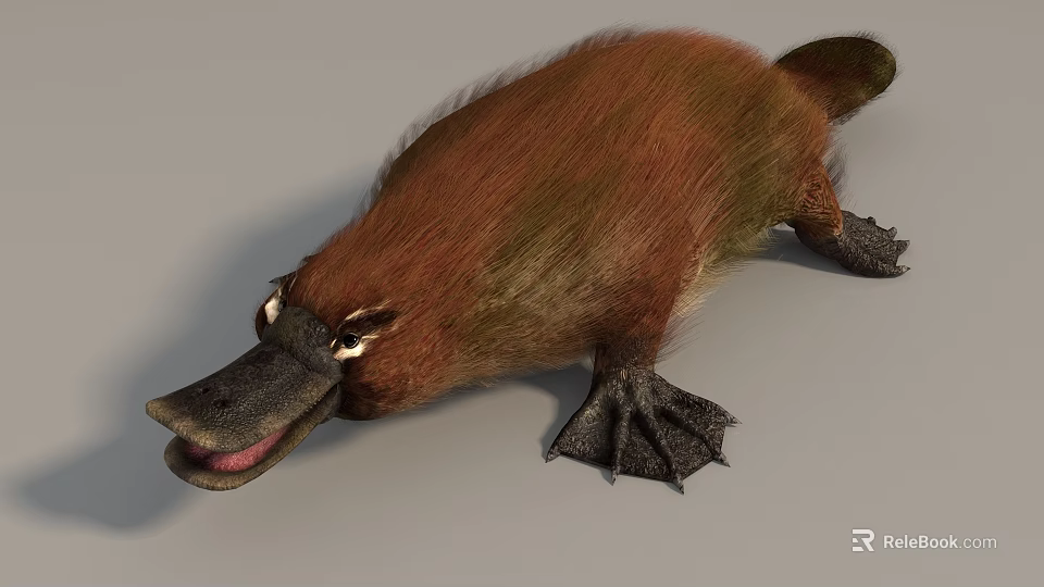 Brown Furry Reptilian Creature With Duck Bill And Webbed Feet 3d model 