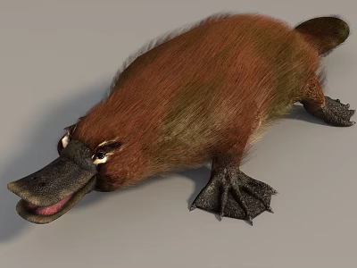 Brown Furry Reptilian Creature With Duck Bill And Webbed Feet 3d model
