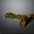 Natural Moss Plant with Yellow Orange Green Hues Growing on Brown Wooden Log Decorative Piece