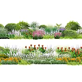 Garden Bushes With Colorful Red Purple Flowers And Green Foliage Plants