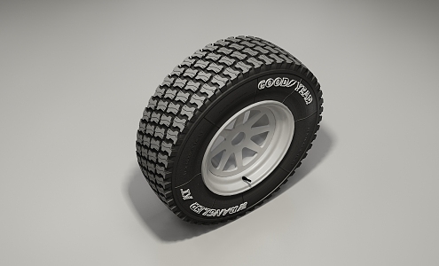 Modern Tires 3d model