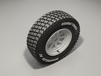 Modern Tires 3d model