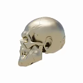 Polished Silver Skull Sculpture With Detailed Carving And Artistic Design