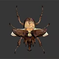 Low Poly Bee with Brown and Gold Color Transparent Wings on Dark Background