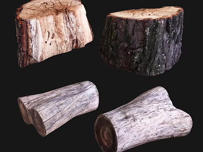 Various Wooden Stumps And Logs With Natural Textures And Tree Trunk Sections 3d model