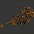 Detailed Ostrich Skeleton Display With Gray Background And Exhibition Setting