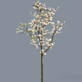 Flowering Arbor With White Blossoms On Branches And Brown Trunk 3d model